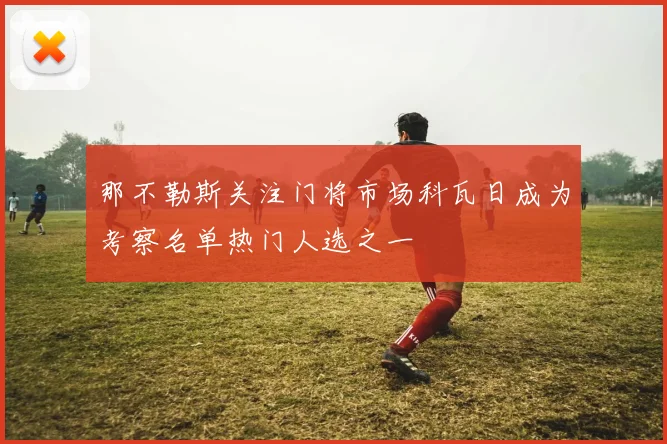 那不勒斯关注门将市场科瓦日成为考察名单热门人选之一