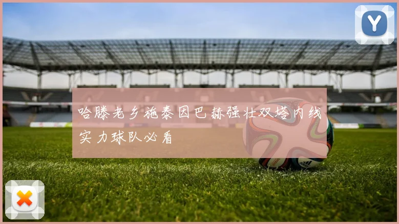 哈滕老乡施泰因巴赫强壮双塔内线实力球队必看