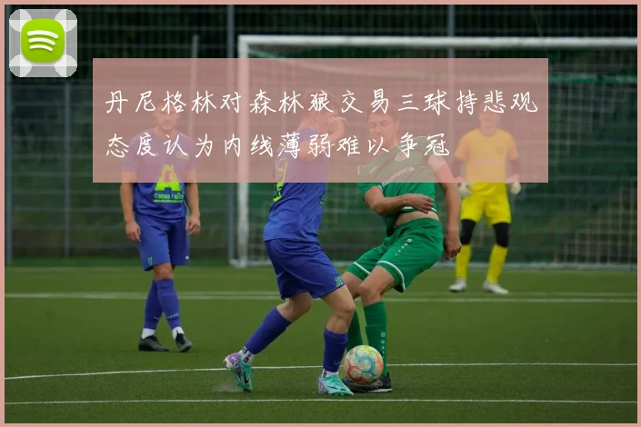 丹尼格林对森林狼交易三球持悲观态度认为内线薄弱难以争冠